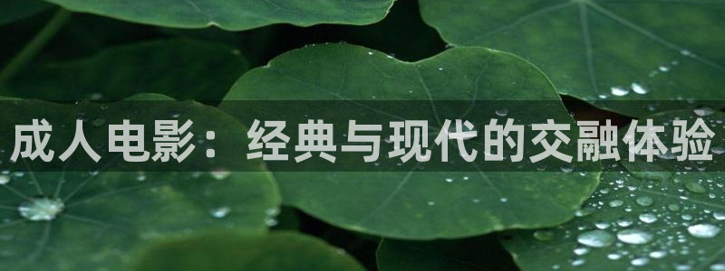 4080yy影院：成人电影：经典与现代的交融体验