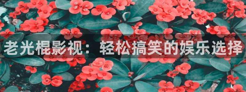 yy影院免费观看电视剧大全：老光棍影视：轻松搞笑的娱乐选择