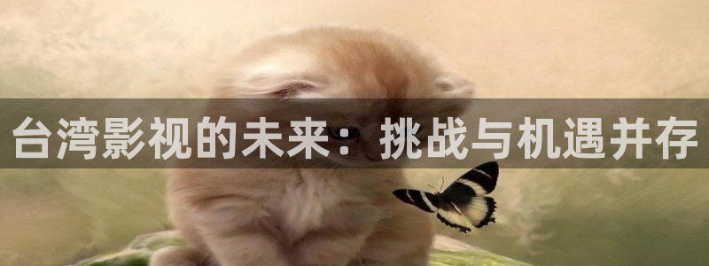 yy影院免费观看电视剧大全