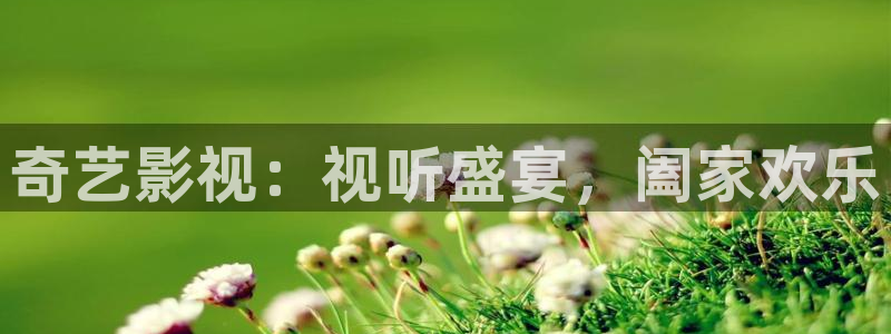 yy影院网