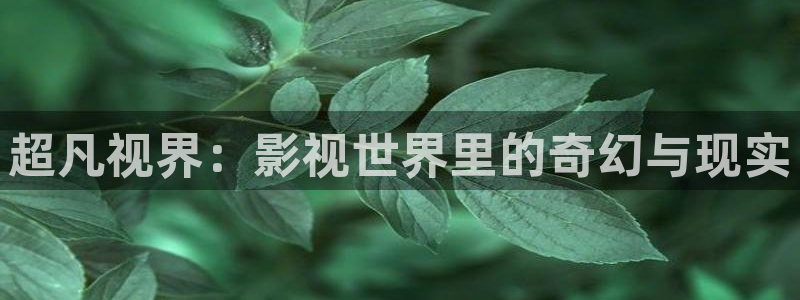 神马yy影院