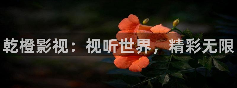 yy影院青苹果