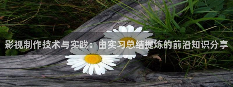 yy影院4080