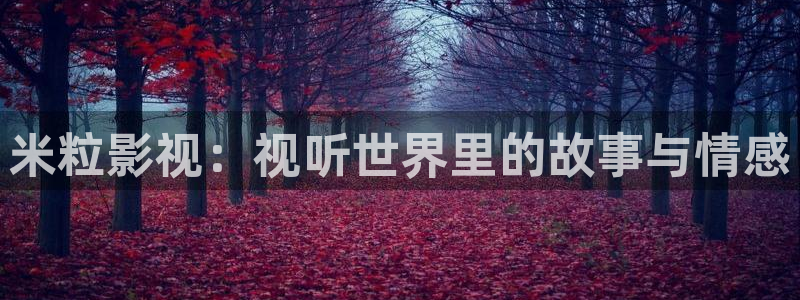 yy影院电视剧大全