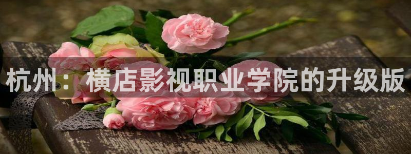 yy影院在线观看最新电视剧